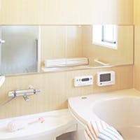 薄い鏡 (防湿ミラー)