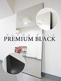 パネルミラー「PREMIUM BLACK」