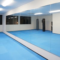 普通の鏡(大型ミラー・姿見)